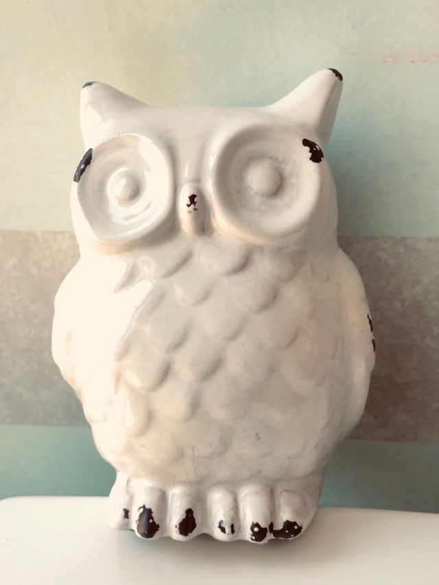 Statua gufo in porcellana decorativa