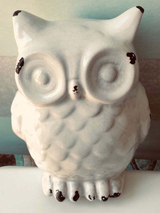 Statua gufo in porcellana decorativa