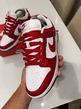 Nike Dunk 41