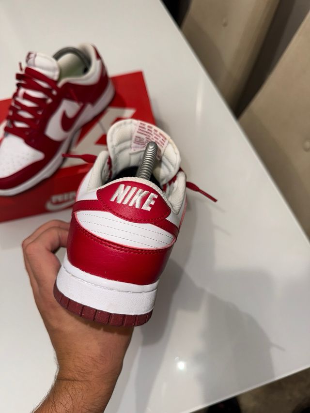 Nike Dunk 41