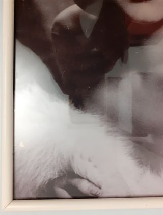 Cuadro Marilyn Monroe Pop Art Diseño Vintage Retro