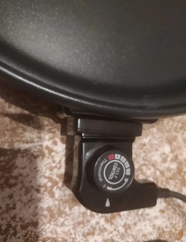 Plancha Eléctrica Multifunción