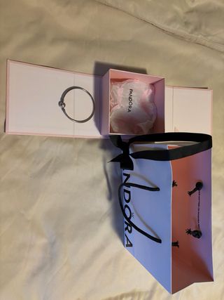 Pulsera Pandora rígida plata