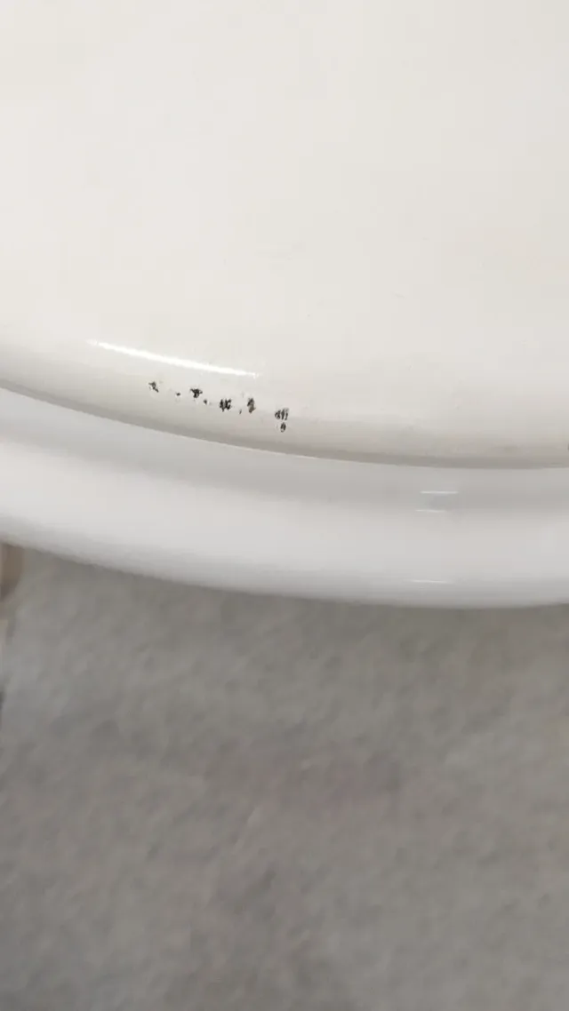 Inodoro Roca con bidé a juego