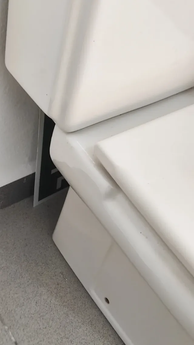 Inodoro Roca con bidé a juego