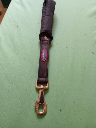 Guinzaglio Pratico per taglia grossa