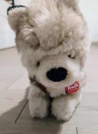 Peluche Trudi Cane Husky