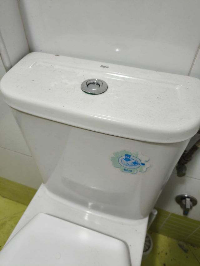 WC inodoro marca roca