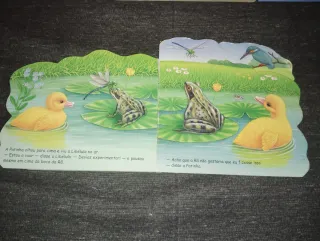 Livros Infantis Usados
