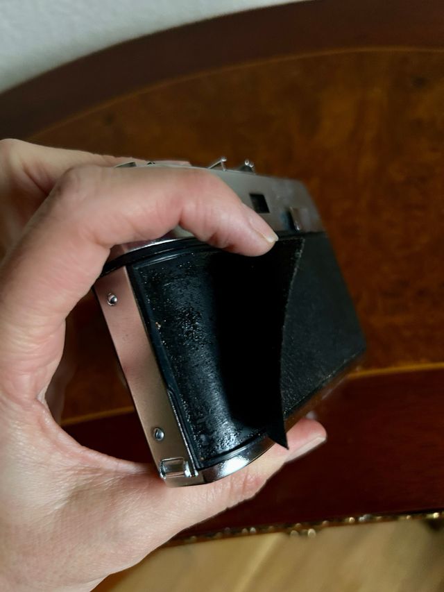 Cámara Halina Paulette Plata/Negra