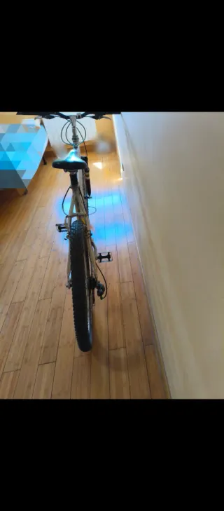 Bicicleta de montaña plateada