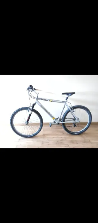 Bicicleta de montaña plateada