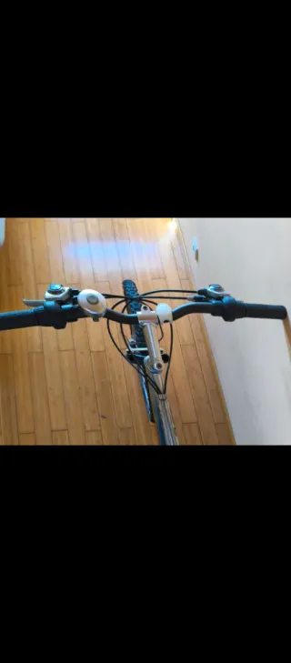 Bicicleta de montaña plateada