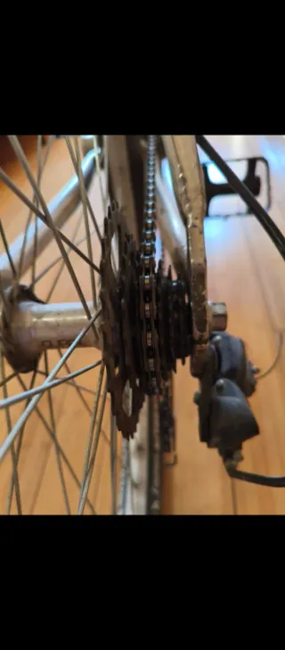 Bicicleta de montaña plateada