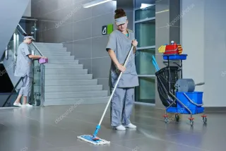 ayuda con la limpieza de tu hogar"casa"apartamento