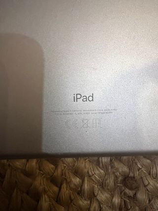 Apple iPad Plata