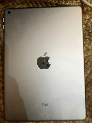 Apple iPad Plata