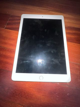 Apple iPad Plata