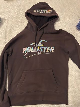 Sudadera Hollister Marrón Multicolor