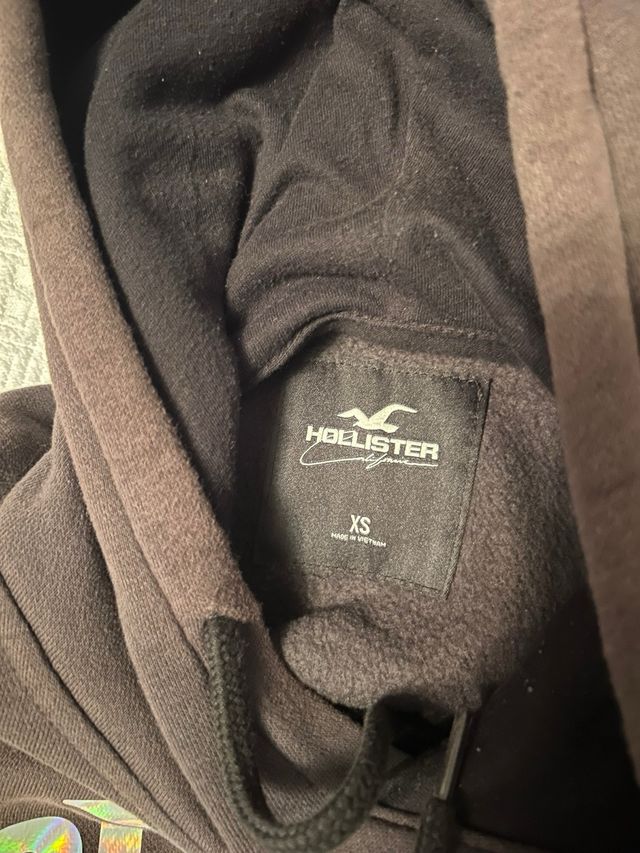 Sudadera Hollister Marrón Multicolor