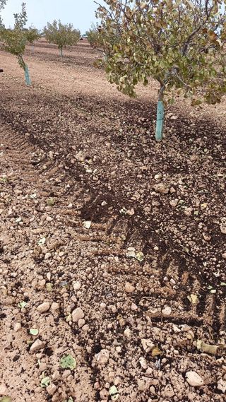 Esparcidor de basura