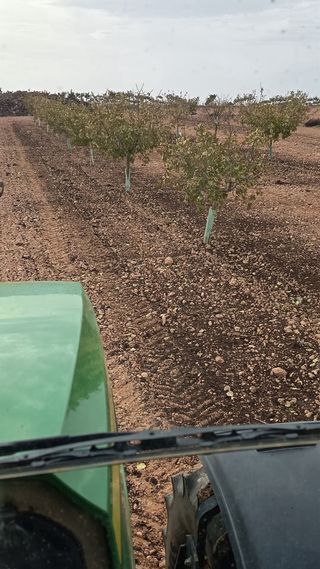 Esparcidor de basura