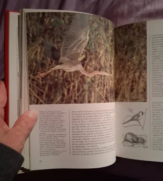 La naturaleza en el mundo