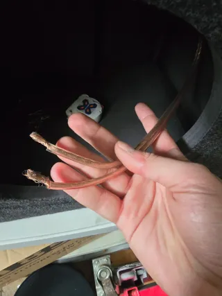 Cajón abierto bas reflex 12"