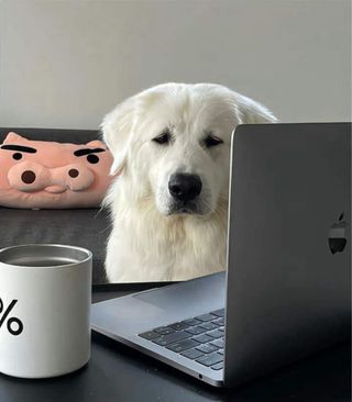 MacBook Air M2 2022 16GB RAM US Qwerty