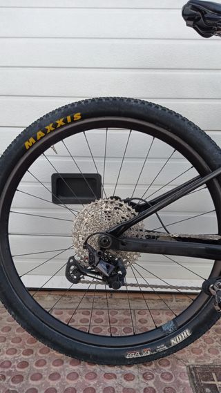 BH Lynx SLS 2025 Carbono