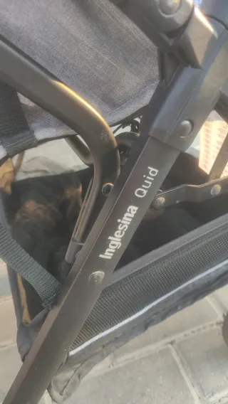 Silla de paseo Inglesina Quid