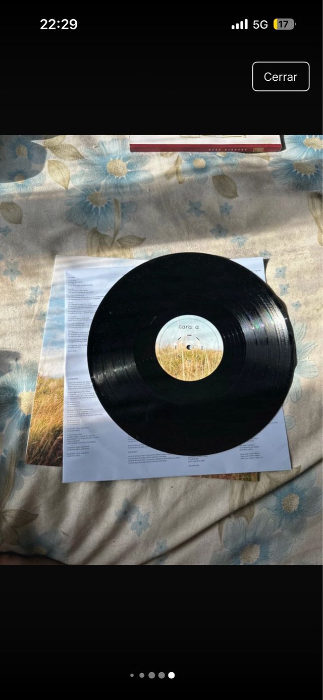 Vinilo Alba Reche - La pequeña semilla