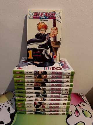 Manga Bleach del 1 al 13