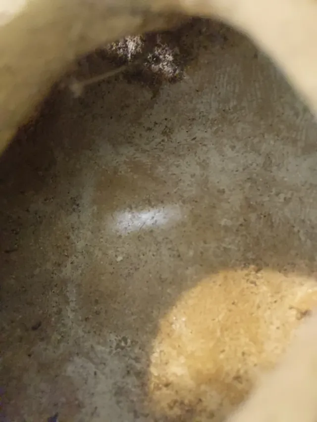 Lucerna autentica romano-punica