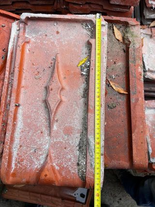 Teja Alicantina Roja