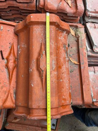 Teja Alicantina Roja