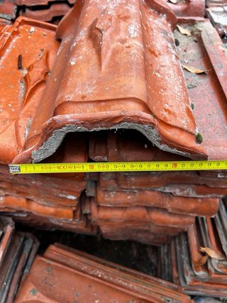 Teja Alicantina Roja