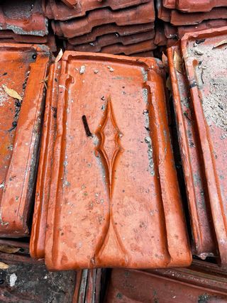 Teja Alicantina Roja