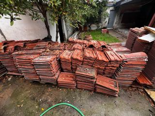 Teja Alicantina Roja