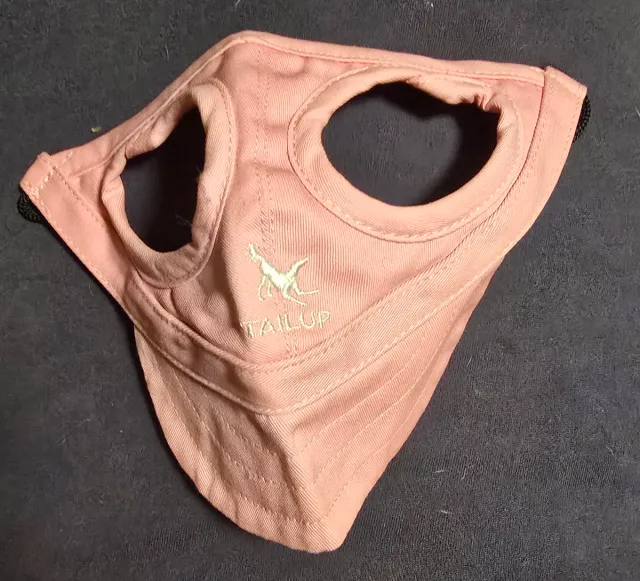 Gorra y correa para perro Talla M