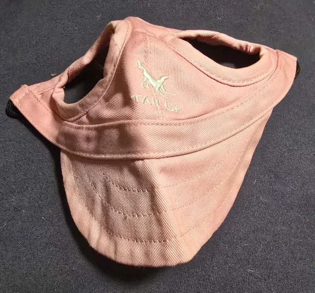 Gorra y correa para perro Talla M