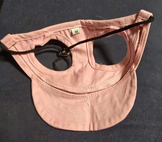 Gorra y correa para perro Talla M