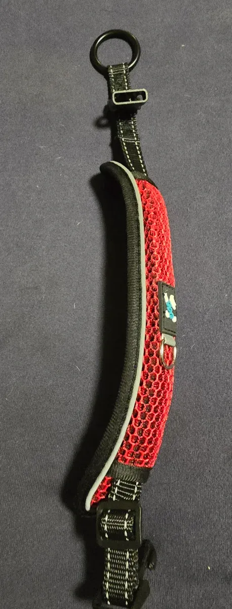 Gorra y correa para perro Talla M