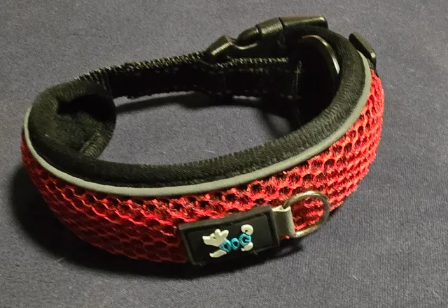 Gorra y correa para perro Talla M