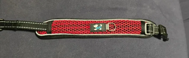 Gorra y correa para perro Talla M