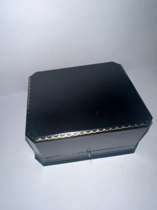 Citizen Chronograph WR100