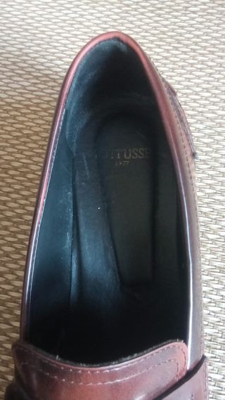 Lotusse 37 último precio