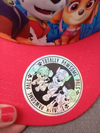Lote 3 Gorras Niños Paw Patrol, T-Rex, Spiderman