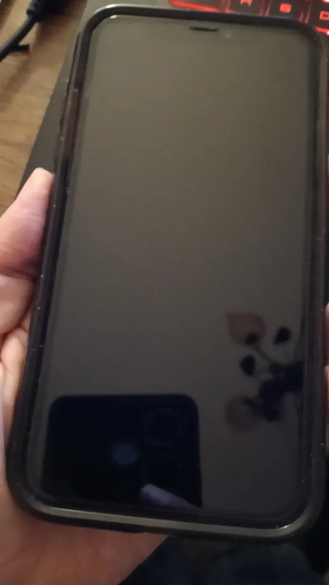 iPhone 11 64GB Negro 81% Batería con funda perfect