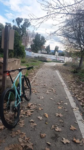 Bicicleta Orbea ALMA  H30 Talla L